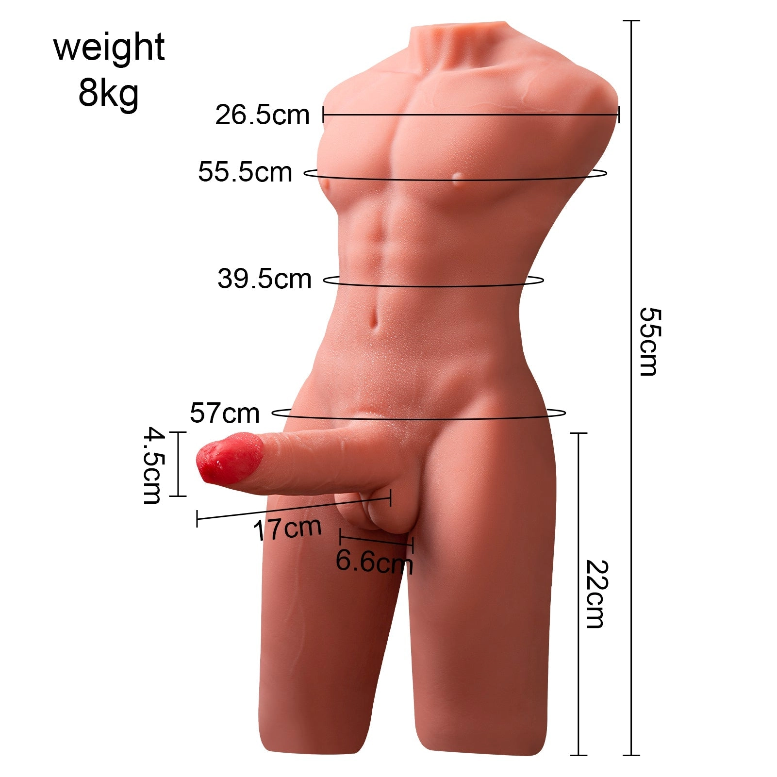 17.6 LB Realistic 3D Male Torso with 6.7 Inch Simulated Penis