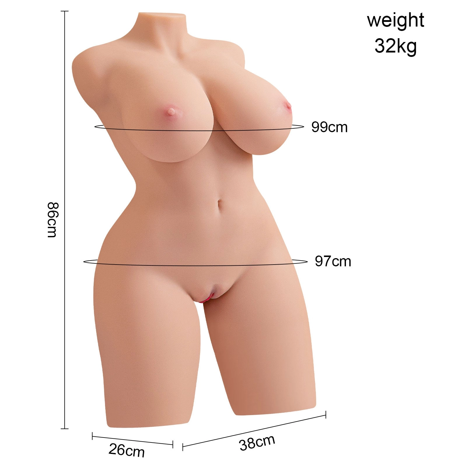 70.9lb Realistic Female Torso