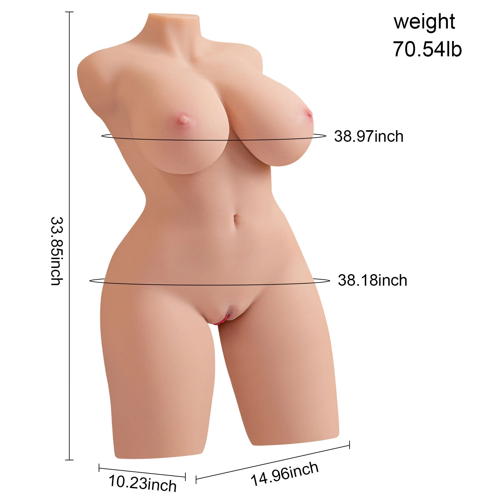 70.9lb Realistic Female Torso