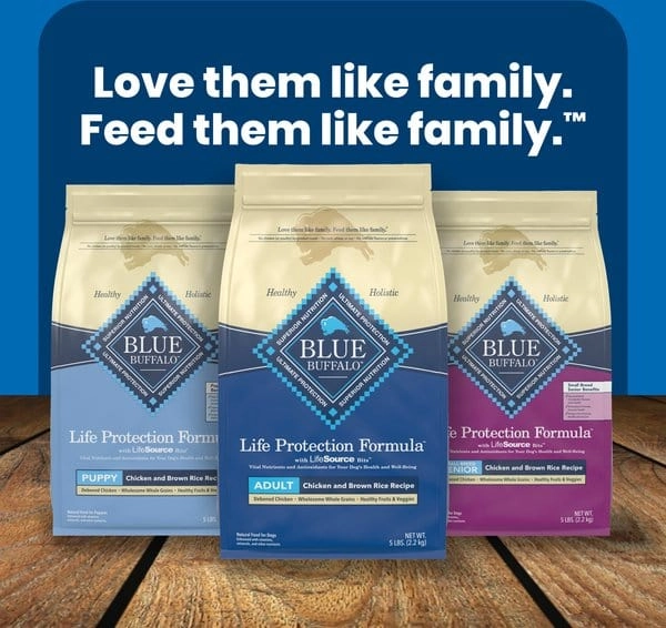 Blue Buffalo Adult Life Protection Salmon & Brown Rice Recipe Dry Dog Food