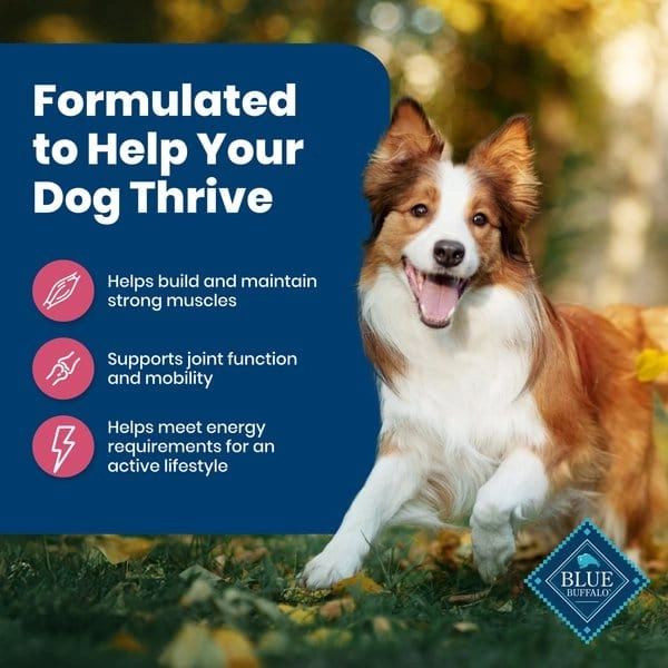 Blue Buffalo Adult Life Protection Salmon & Brown Rice Recipe Dry Dog Food