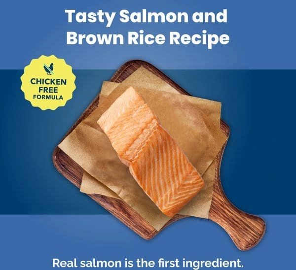 Blue Buffalo Adult Life Protection Salmon & Brown Rice Recipe Dry Dog Food