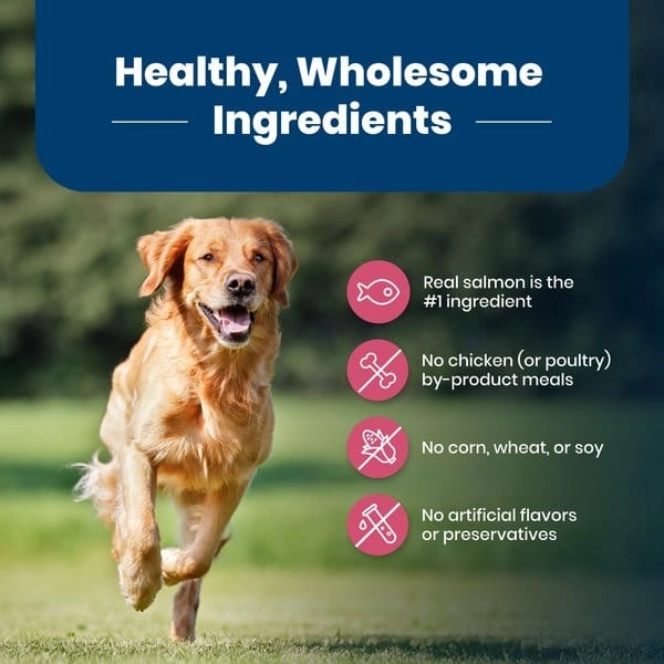Blue Buffalo Adult Life Protection Salmon & Brown Rice Recipe Dry Dog Food